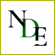 NDE Business